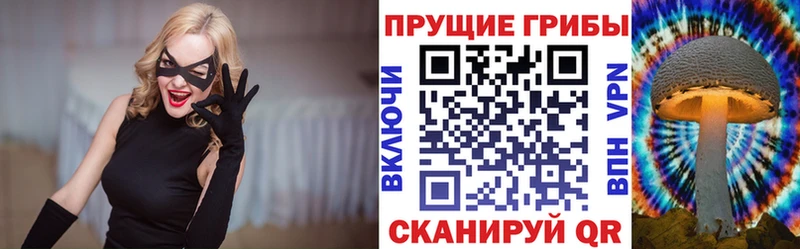 Галлюциногенные грибы Psilocybe продажа наркотиков Бабушкин